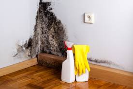 Best Mold Damage Restoration  in Chenango Bridge, NY